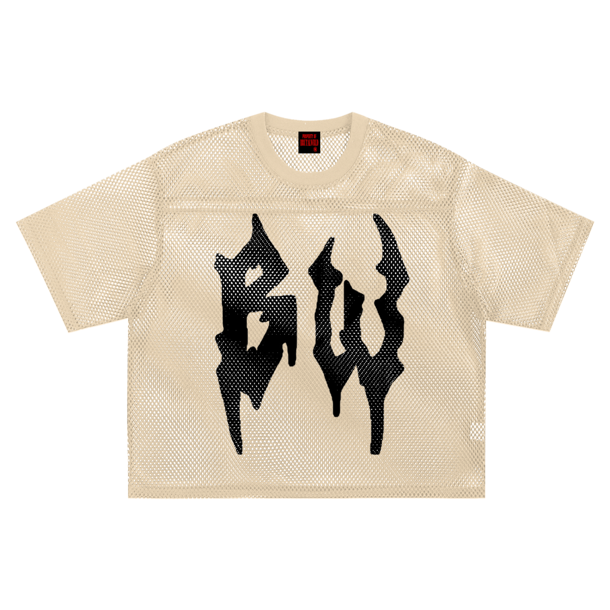 See-through Boxy Net T-Shirt