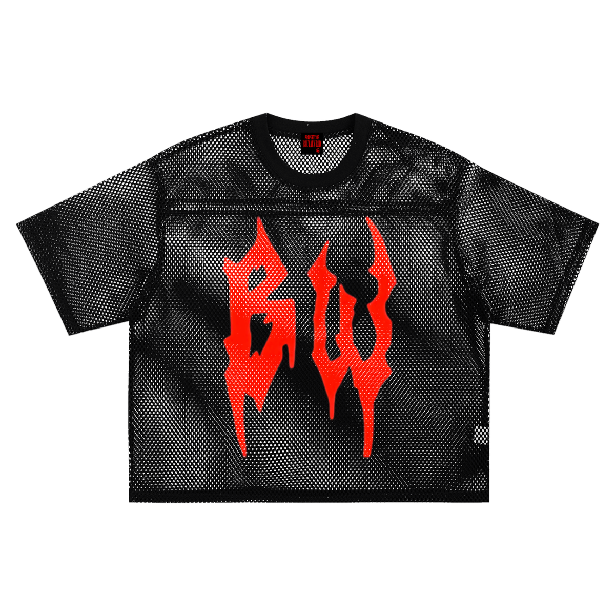 See-through Boxy Net T-Shirt